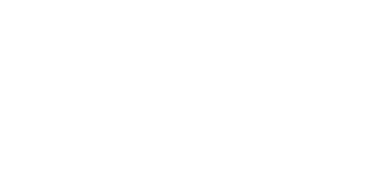 Borluv Development logo