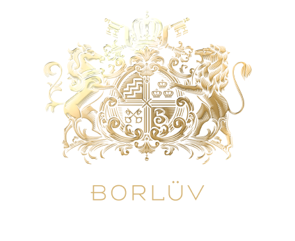 Borluv Developments logo